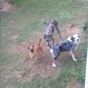 Meet your Posher, Kensley